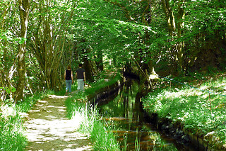 Séjour en famille à La rivière d'argent à Huelgoat (29)