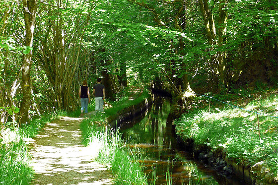 Séjour en famille à La rivière d'argent à Huelgoat (29)