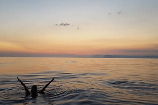 Balade En Semi-Rigide Coucher De Soleil Depuis Bandol