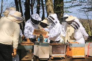 Journée d'initiation à l'apiculture à Chaume-en-Brie (77)