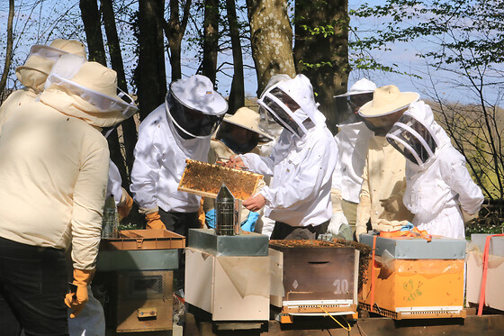 Journée d'initiation à l'apiculture à Chaume-en-Brie (77)