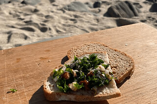 Cours de cuisine "Algues" à Camaret-Sur-Mer