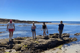 Cours de cuisine "Algues" à Camaret-Sur-Mer