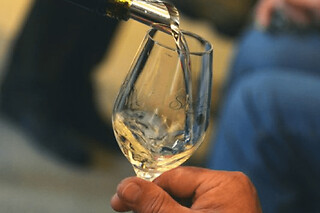 Dégustation de Chablis au domaine Clotilde Davenne à Auxerre