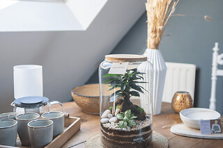 Atelier parent / enfant terrarium à Lille (59)