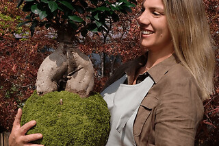Atelier découverte Kokedama à Louveciennes (78)