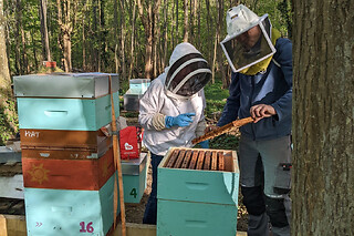 Demi-journée initiation à l'apiculture à Chaume-en-Brie (77)
