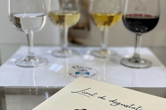Dégustation de vins & accords mets et vins à Bordeaux (33)