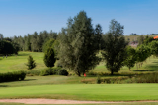Cours de golf - Ugolf - Metz (57)