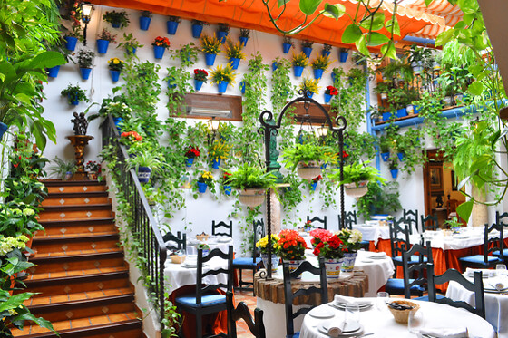 RESTAURANTE PUERTA SEVILLA - photo 18