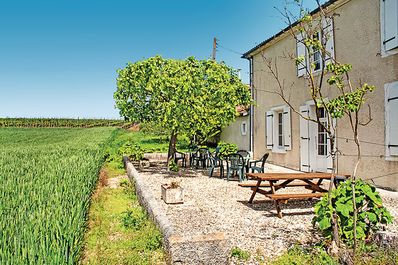 La Ferme de Chez Piché - photo 20