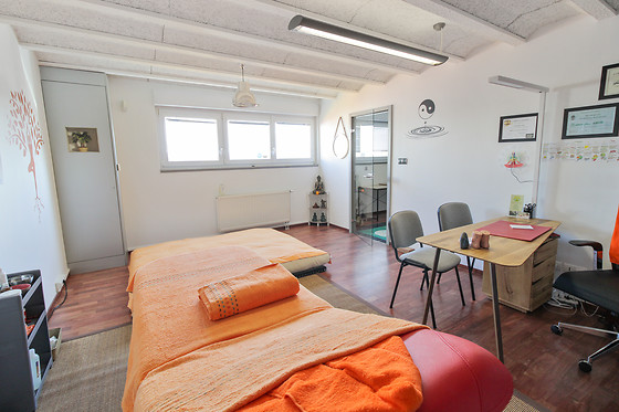 naturopathe-lang - photo 7