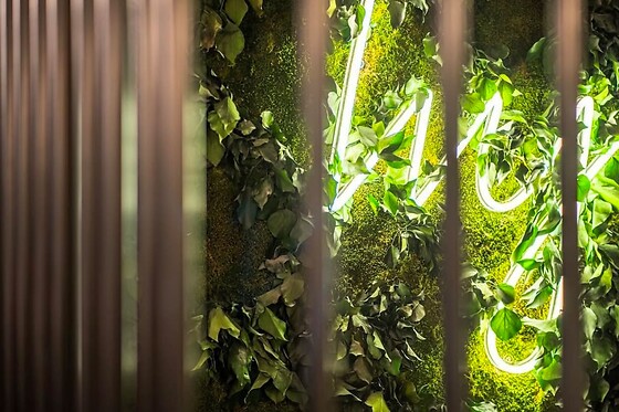 Un apéritif pour deux à Ivy à Paris (75)