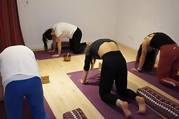 Studio Surya