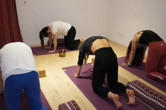 Studio Surya - photo 5