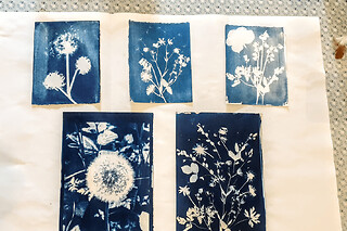 Atelier découverte Cyanotype à Paris 20ème