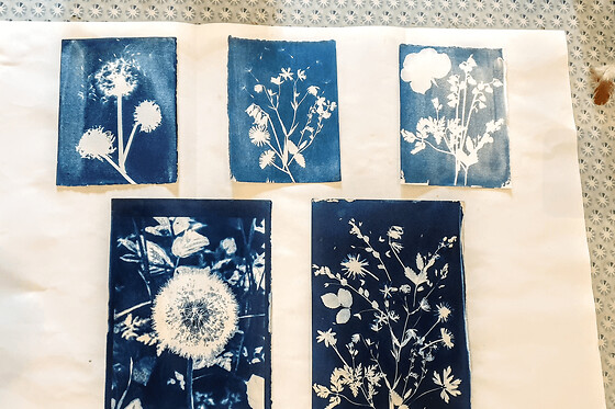 Atelier découverte Cyanotype à Paris 20ème