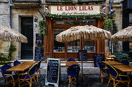 Le Lion Lilas
