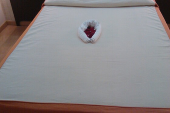 HOTEL ALFAGEME - photo 10