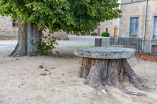 Repas pour deux aux Domaines et Château de Valinches à Marols (42)