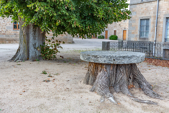 Repas pour deux aux Domaines et Château de Valinches à Marols (42)
