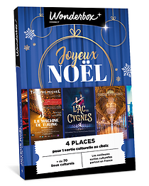 Joyeux Noël culturel - Sortie culturelle pour 4