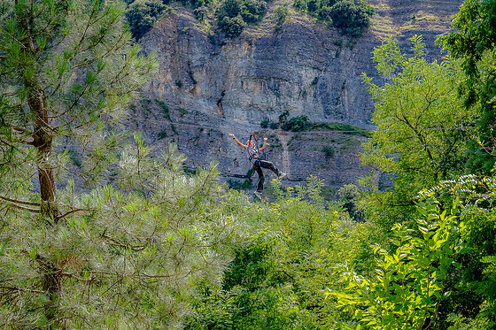 Accroche Toi Aux Branches Vallon - photo 6