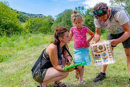 Accroche Toi Aux Branches Vallon