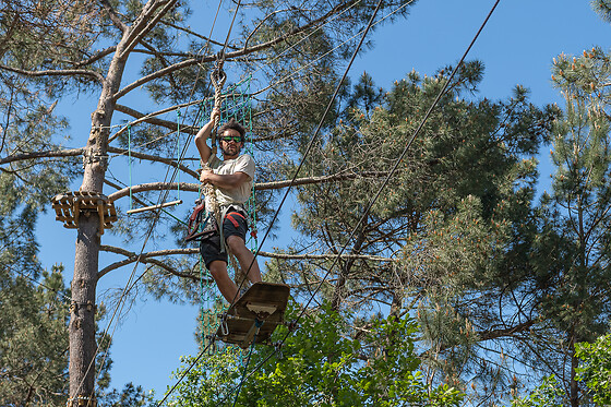 Accroche Toi Aux Branches Vallon - photo 13