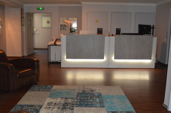 Hotel Ulysse - photo 5