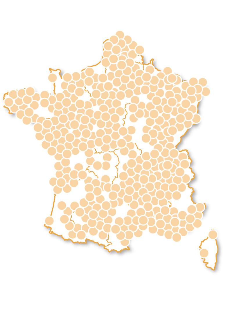 Joyeux Noël Sensation