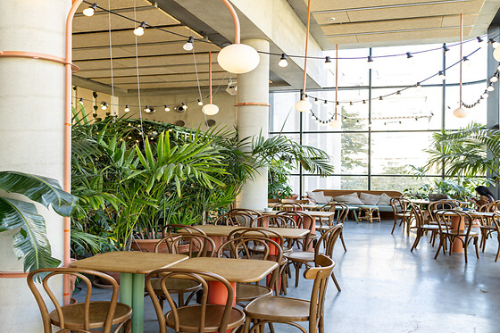 Un brunch pour deux à Titi Palacio à Paris (75)