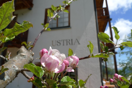 Hotel Ucliva - photo 1