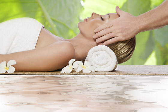 Ayurveda et Massages du Monde - photo 5