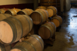 Cave des Vignerons de Saint-Sardos